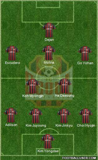 FC Seoul Formation 2013