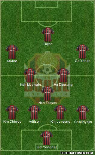 FC Seoul Formation 2013