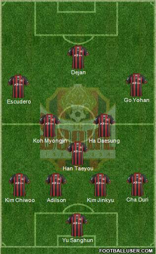 FC Seoul Formation 2013