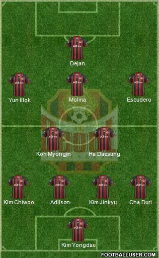 FC Seoul Formation 2013