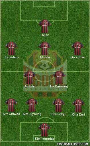 FC Seoul Formation 2013