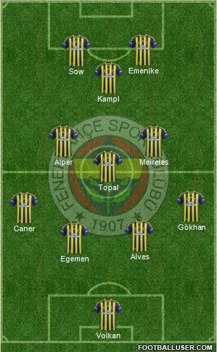Fenerbahçe SK Formation 2013