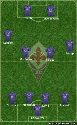 Fiorentina Formation 2013