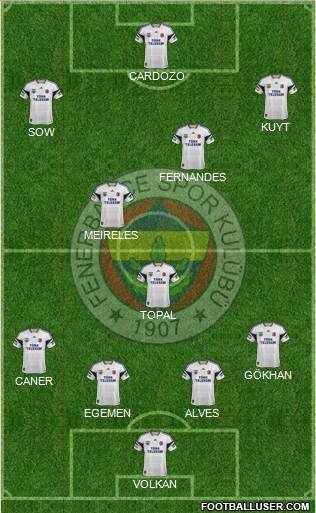 Fenerbahçe SK Formation 2013