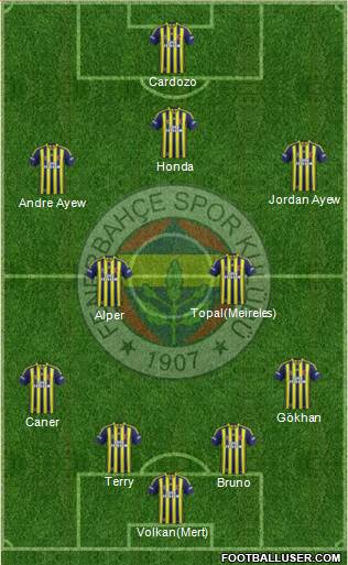 Fenerbahçe SK Formation 2013