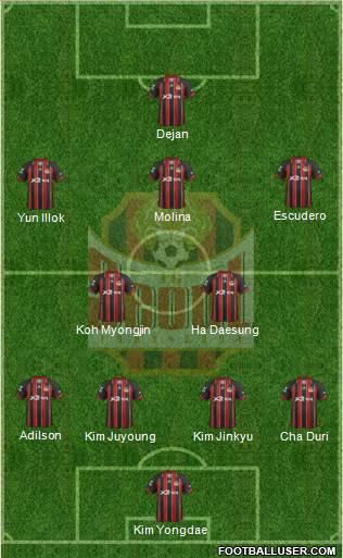 FC Seoul Formation 2013