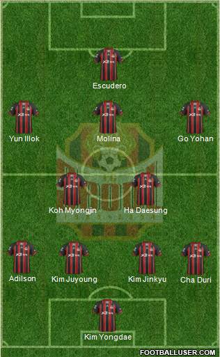 FC Seoul Formation 2013