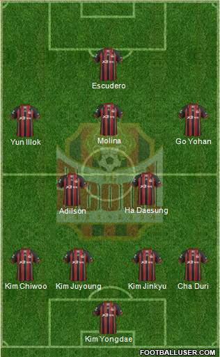 FC Seoul Formation 2013