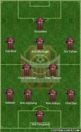 FC Seoul Formation 2013