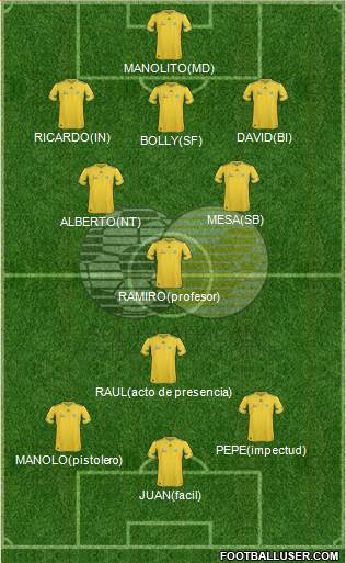 South Africa Formation 2013