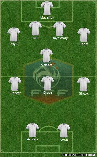 France Formation 2013
