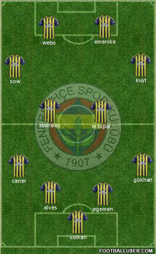 Fenerbahçe SK Formation 2013