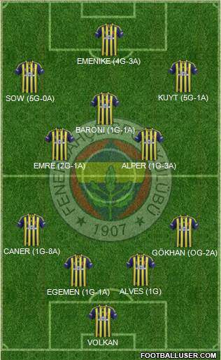 Fenerbahçe SK Formation 2013