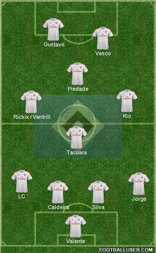 Hamburger SV Formation 2013