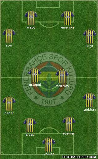 Fenerbahçe SK Formation 2013