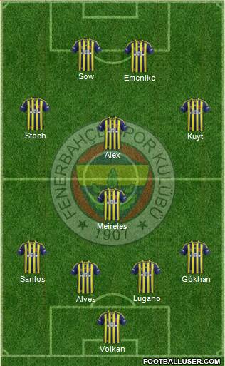 Fenerbahçe SK Formation 2013