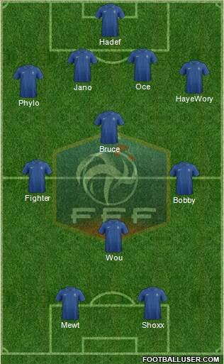 France Formation 2013