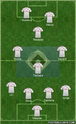 Hamburger SV Formation 2013