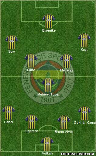 Fenerbahçe SK Formation 2013