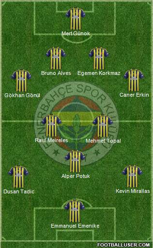 Fenerbahçe SK Formation 2013