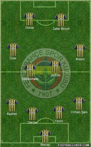 Fenerbahçe SK Formation 2013