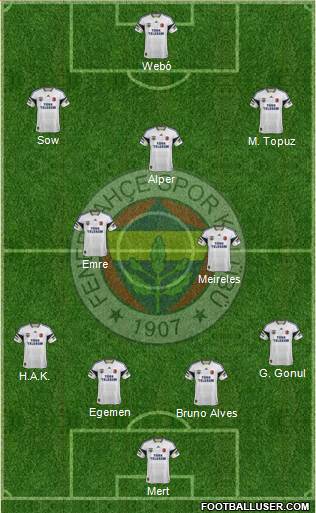 Fenerbahçe SK Formation 2013