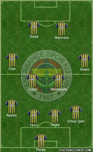 Fenerbahçe SK Formation 2013