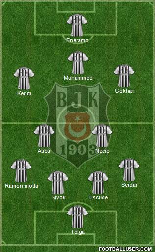 Besiktas JK Formation 2013