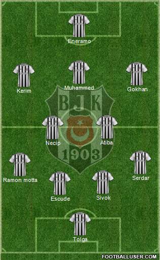 Besiktas JK Formation 2013