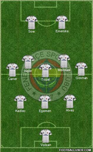 Fenerbahçe SK Formation 2013