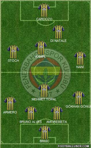 Fenerbahçe SK Formation 2013