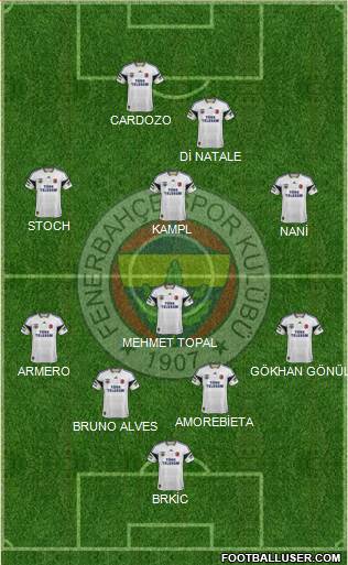 Fenerbahçe SK Formation 2013