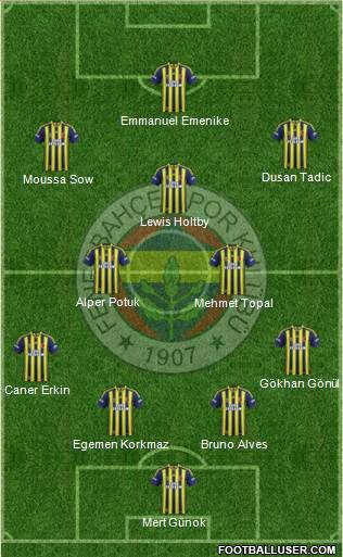 Fenerbahçe SK Formation 2013