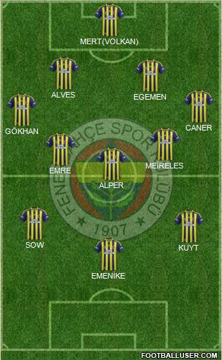 Fenerbahçe SK Formation 2013