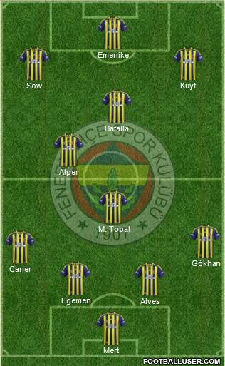 Fenerbahçe SK Formation 2013