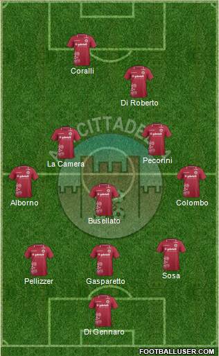Cittadella Formation 2013