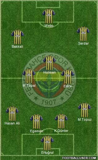 Fenerbahçe SK Formation 2013