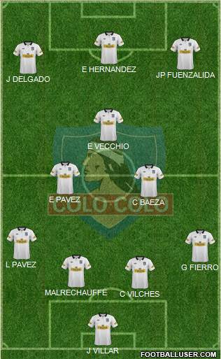 CSD Colo Colo Formation 2013