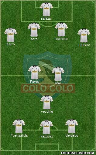 CSD Colo Colo Formation 2013