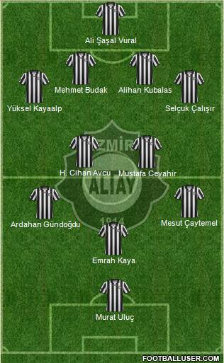 Altay Formation 2013