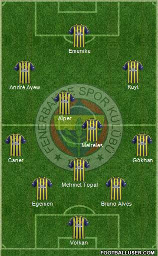 Fenerbahçe SK Formation 2013