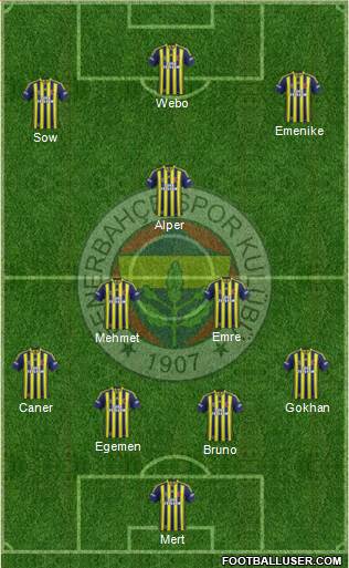 Fenerbahçe SK Formation 2013