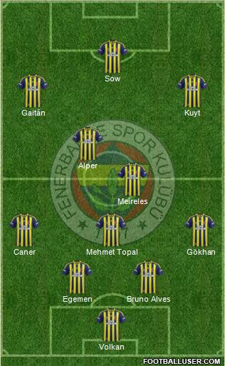 Fenerbahçe SK Formation 2013