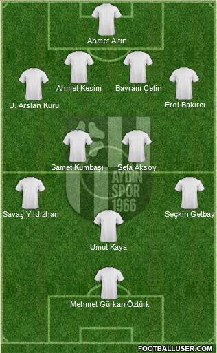 Aydinspor Formation 2013