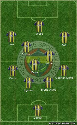 Fenerbahçe SK Formation 2013