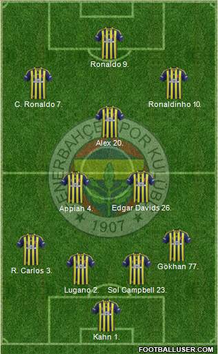 Fenerbahçe SK Formation 2013