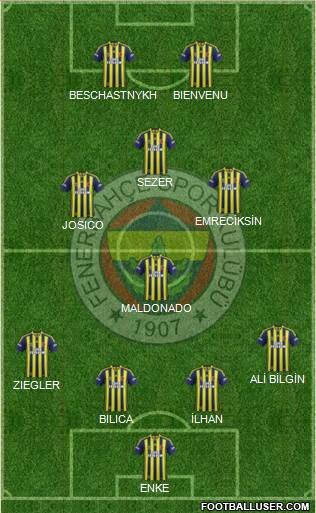 Fenerbahçe SK Formation 2013