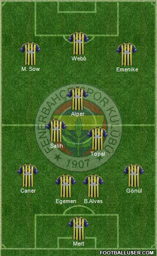 Fenerbahçe SK Formation 2013