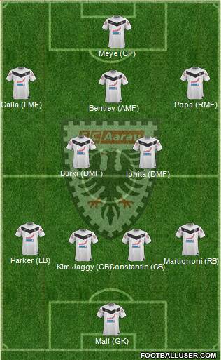 FC Aarau Formation 2013