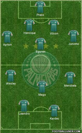 SE Palmeiras Formation 2013